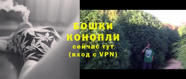 Альфа ПВП Богданович