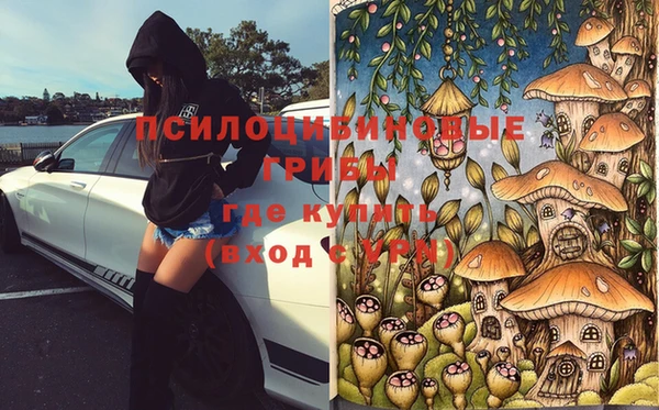 соль ск Богородицк