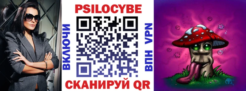 Галлюциногенные грибы Psilocybe Лыткарино